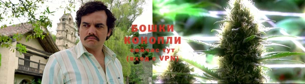кокаин колумбия Алексин