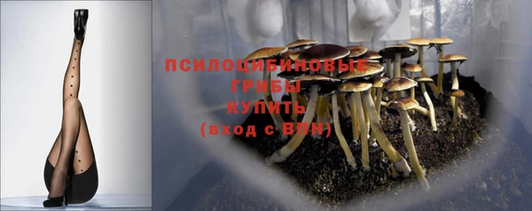 кокаин колумбия Алексин