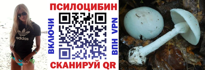 Галлюциногенные грибы Psilocybine cubensis  Анива 